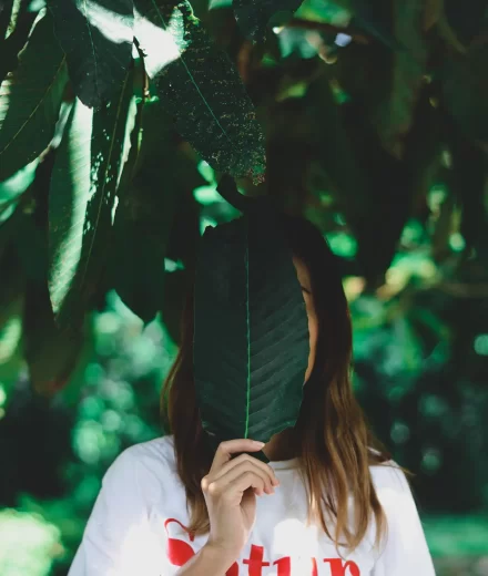 instagram image