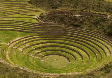 Drevne održive poljoprivredne prakse: Terracing, naizmenična setva i aztečki akvaponik